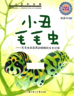 小丑毛毛虫 毛毛虫到茧再到蝴蝶的生长过程