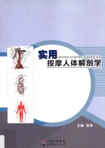 实用按摩人体解剖学