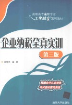 企业纳税全真实训