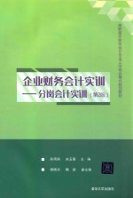 企业财务会计实训 分岗会计实训