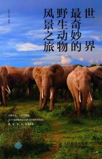 世界最奇妙的野生动物风景之旅