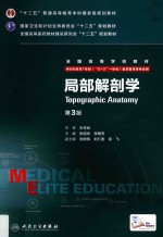 局部解剖学 八年制 配增值
