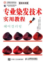 专业染发技术实用教程
