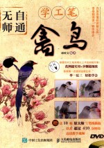 无师自通学工笔 禽鸟