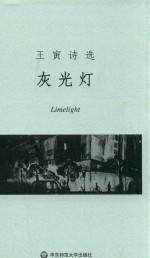 灰光灯 王寅诗选