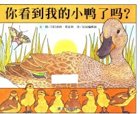 你看到我的小鸭了吗?