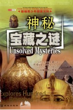 新编青少年探索百科 神秘宝藏之谜