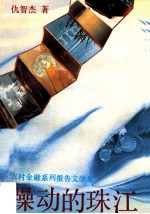 躁动的珠江 农村金融系列报告文学集