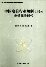 中国电信行业规制 上 电信竞争时代