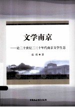 文学南京 论二十世纪二三十年代南京文学生态