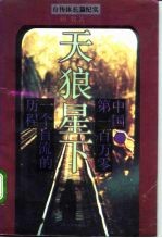 天狼星下 中国·第一百万零一个盲流的历程