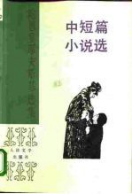 中短篇小说选