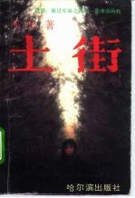 土街