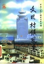文明村镇风采