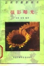 摄影曝光