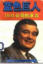 蓝色巨人 IBM公司的浮沉