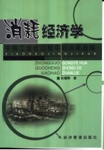 消耗经济学 中国工业化过程中的消耗战略