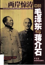 两岸惊涛中的毛泽东与蒋介石