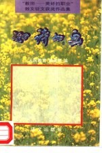 如诗如画 “教师-美好的职业”散文征文获奖作品集