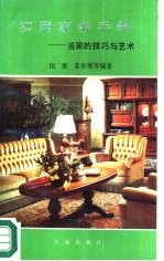 实用家务手册 当家的技巧与艺术