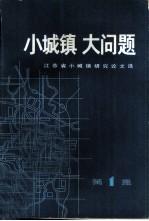 小城镇大问题 江苏省小城镇研究论文选
