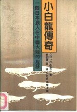 小白龙传奇 一个日本浪人在中国大陆的经历