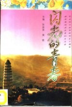 闪光的青春