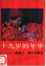 十九岁的年华 潘星兰、杨大兰事迹