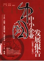 中国中小企业发展报告 2006-2007