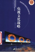 电视文化战略 电视创新与西部文化的现代化