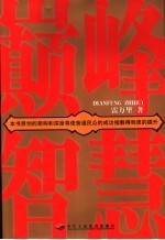巅峰智慧