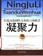 凝聚力 打造高效团队文化的六项模式