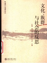 文化、族群与社会的反思