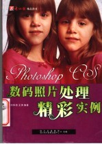 数码照片处理精彩实例
