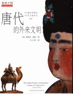 唐代的外来文明 189幅绘图精品 106件文物珍宝解读 彩色插图珍藏本