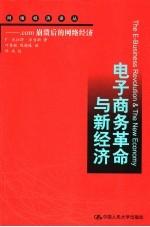 电子商务革命与新经济 com崩溃后的网络经济