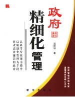 政府精细化管理