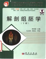 解剖组胚学 下