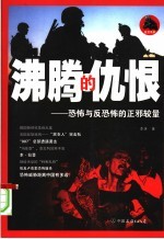 沸腾的仇恨：恐怖与反恐怖的正邪较量