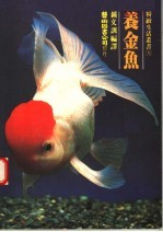 养金鱼 最新式的饲养和观赏