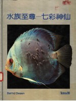 水族至尊:七彩神仙