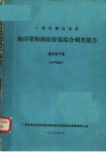 广西壮族自治区海岸带和海涂资源综合调查报告 第5卷下 矿产部分