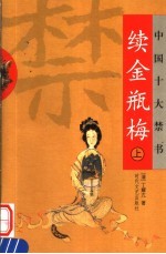 中国十大禁书 续金瓶梅 上