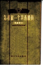 怎样做一个共青团员 团课教材