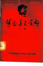 革命委员会好 上