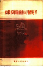 向技术革命的伟大目标进军