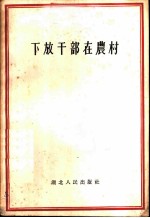 下放干部在农村