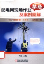 配电网现场作业禁忌及案例图解 “生产现场作业‘十不干’”分析及示例
