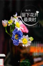 黏土花 留下花开最美时
