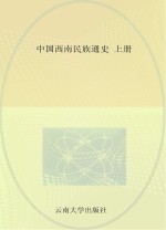 中国西南民族通史 上